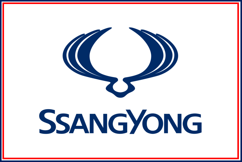 Tapetes SSANGYONG